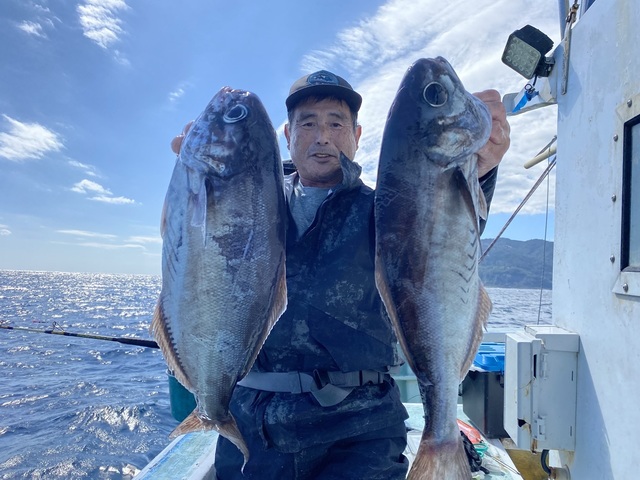 メダイ