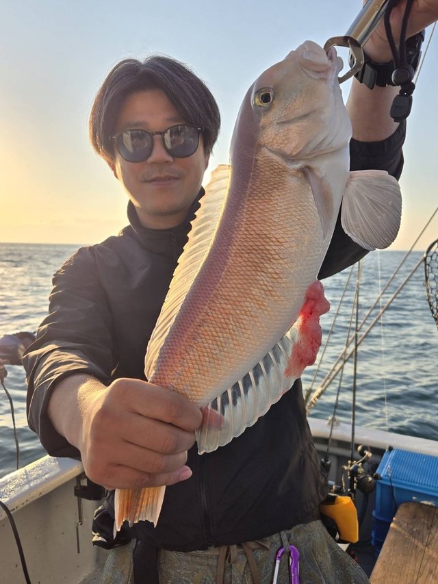 シロアマダイ