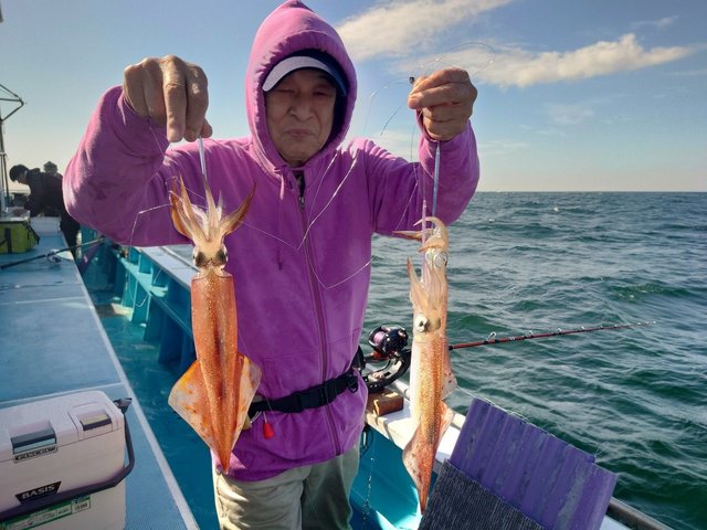 ヤリイカ