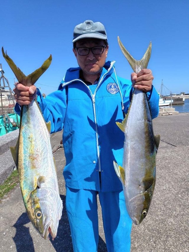 ヒラマサ