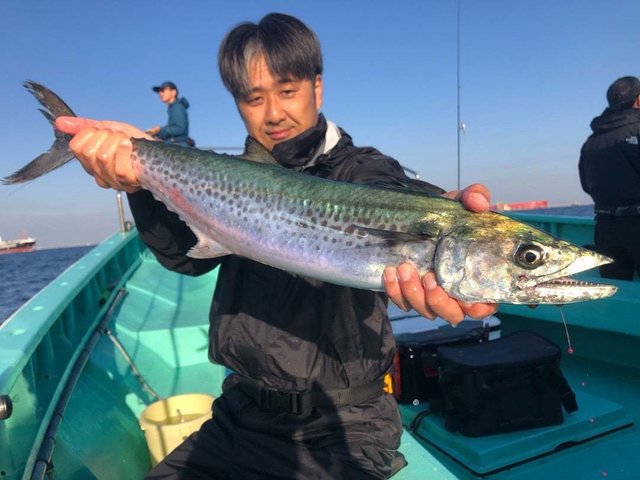サワラ