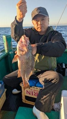 オオモンハタ
