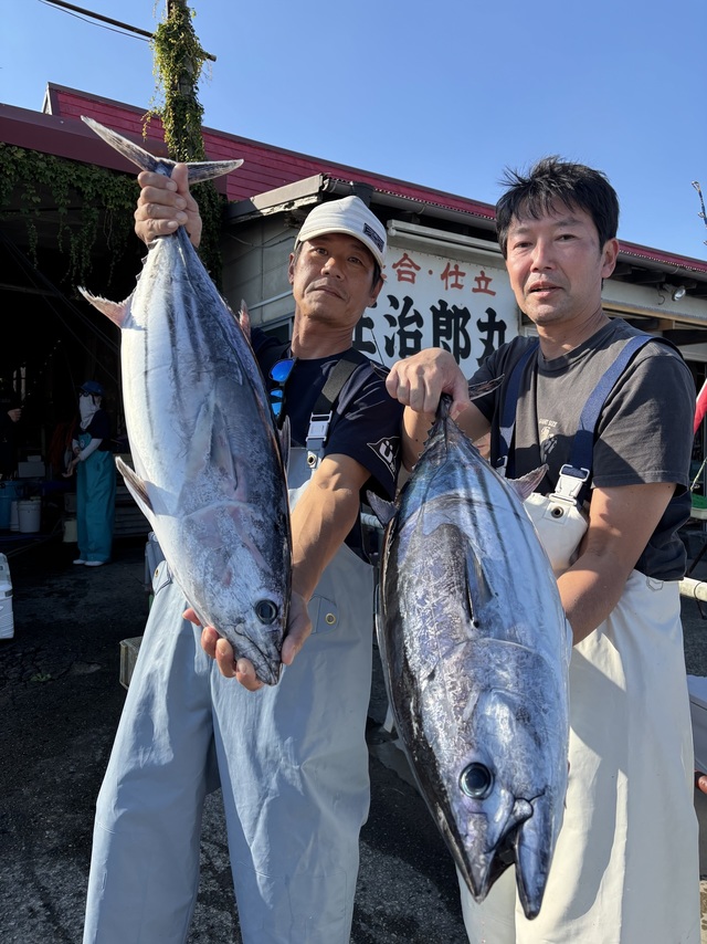 カツオ