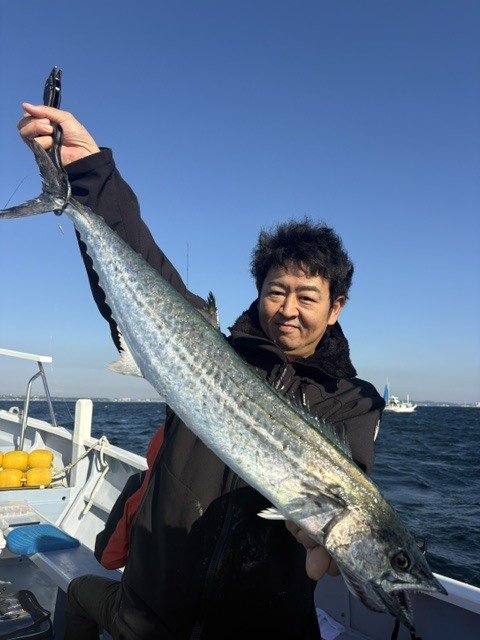 サワラ