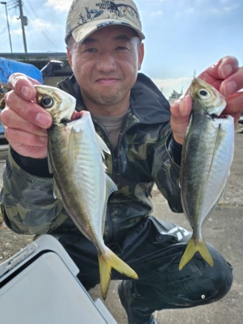アジ(マアジ)