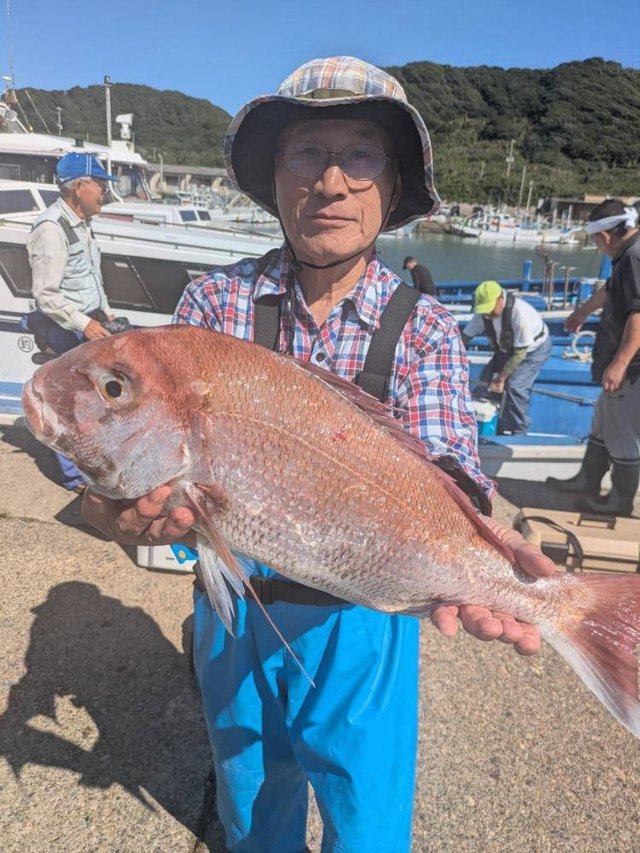マダイ