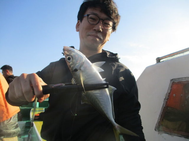 アジ(マアジ)