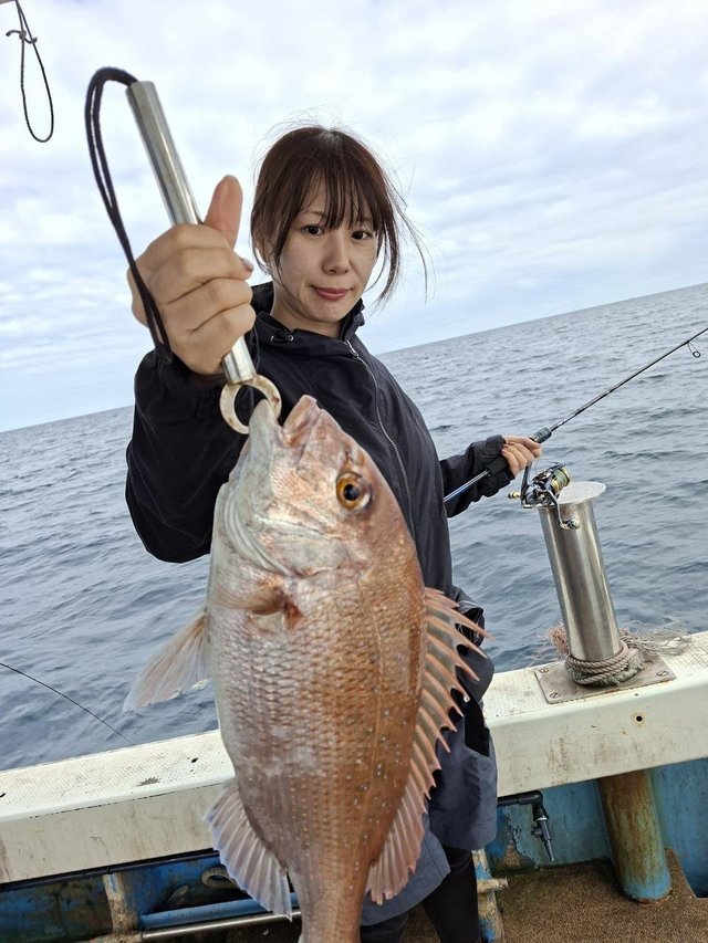 マダイ
