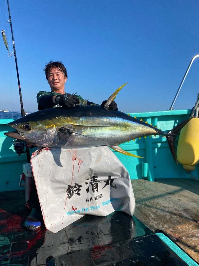 キハダ