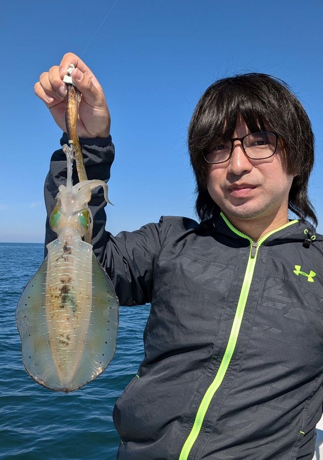 アオリイカ