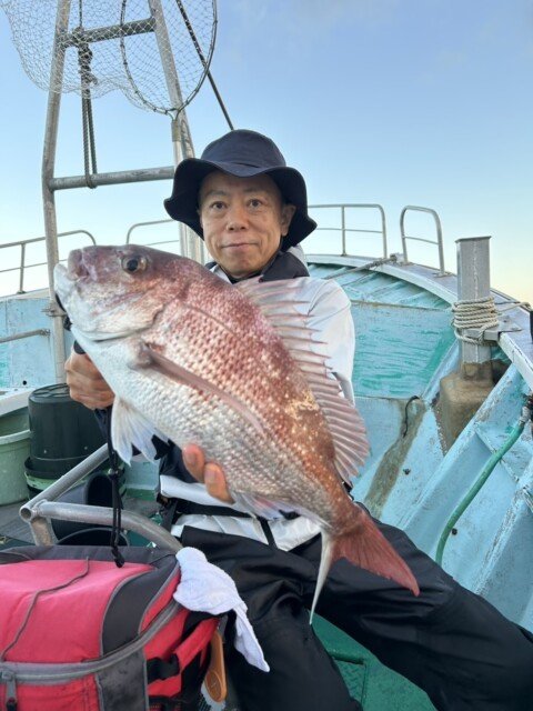 マダイ