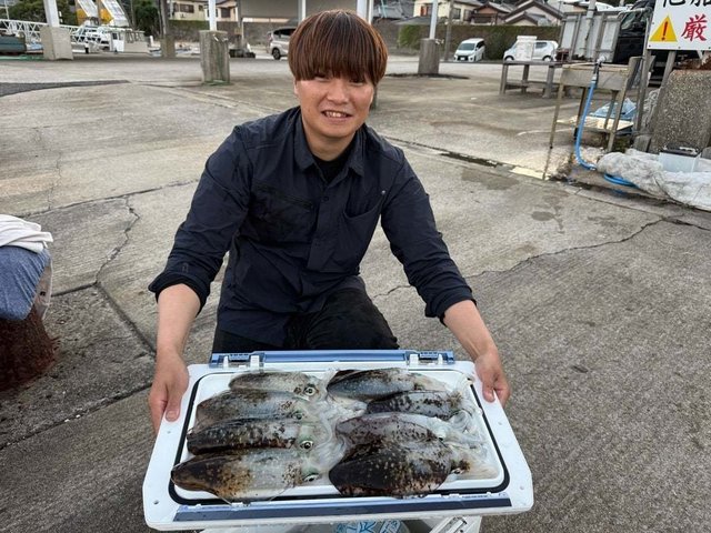 アオリイカ