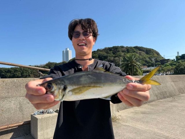 マアジ