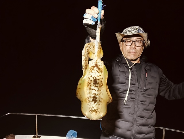 アオリイカ
