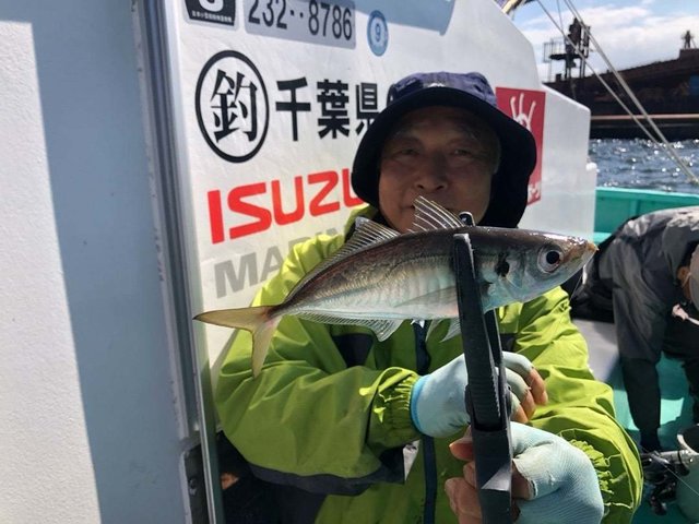 アジ(マアジ)