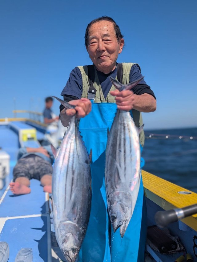カツオ