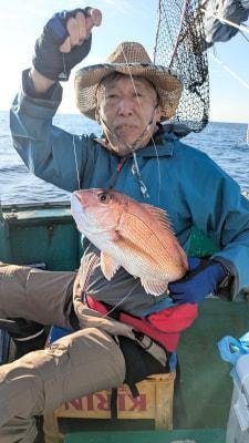 マダイ