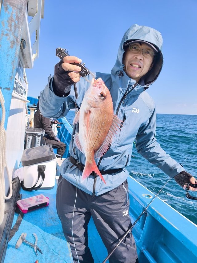 マダイ
