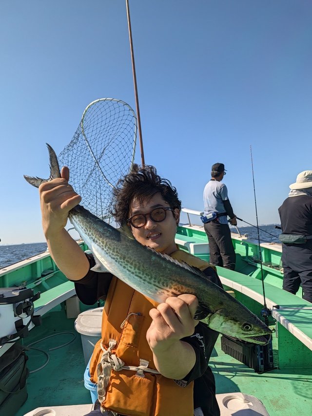 サワラ