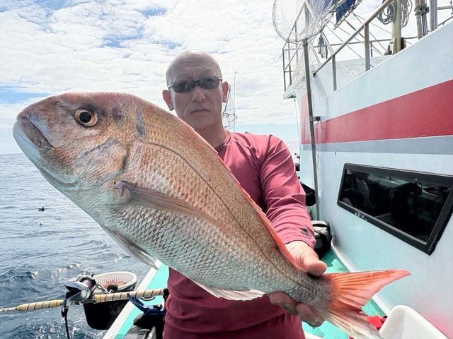 マダイ