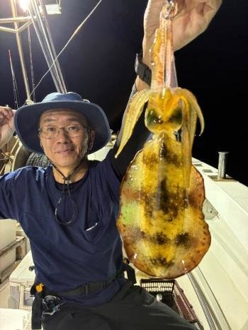 アオリイカ