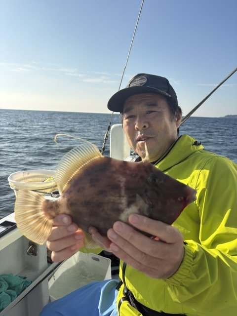 カイワリ
