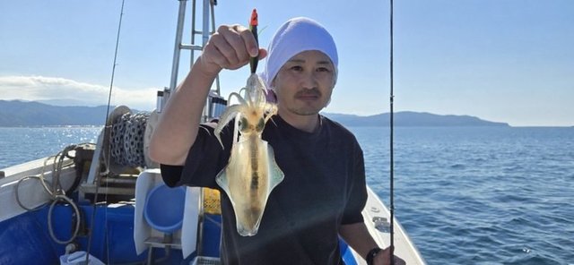 アオリイカ