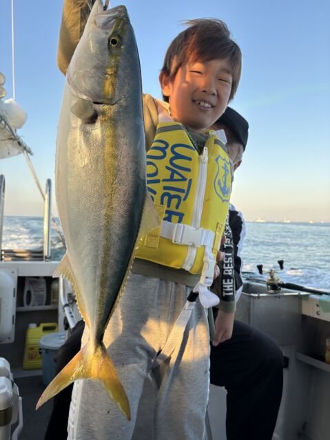 ハマチ(ブリ)