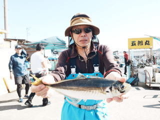 アジ(マアジ)