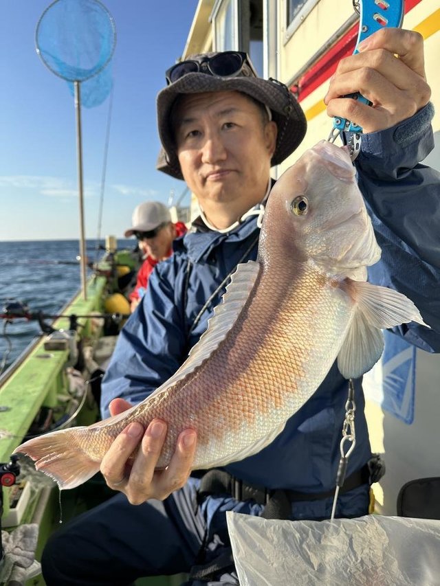 アマダイ(アカアマダイ)
