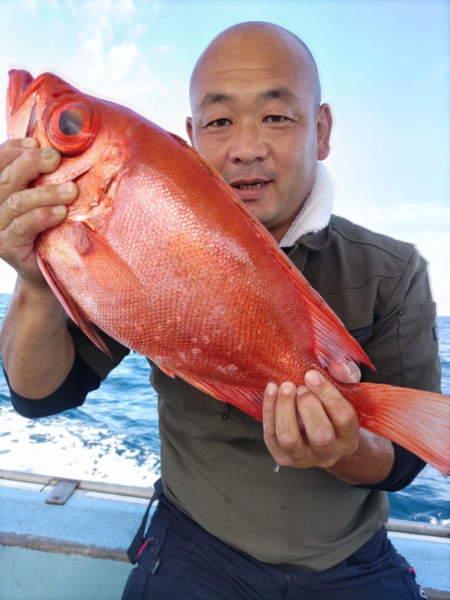 アオハタ