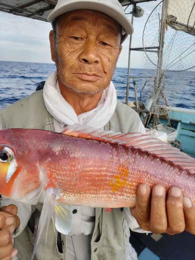 アマダイ(アカアマダイ)