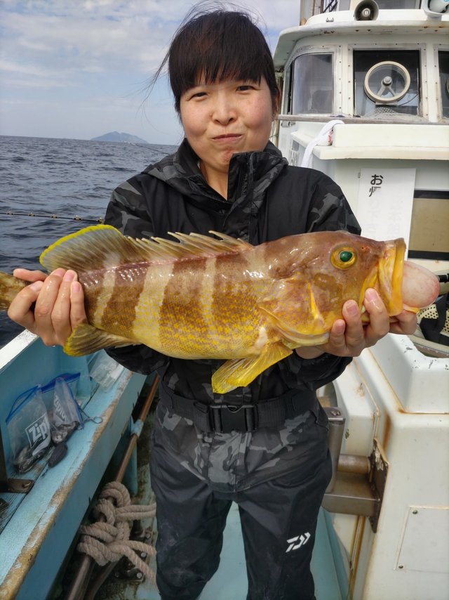 アオハタ