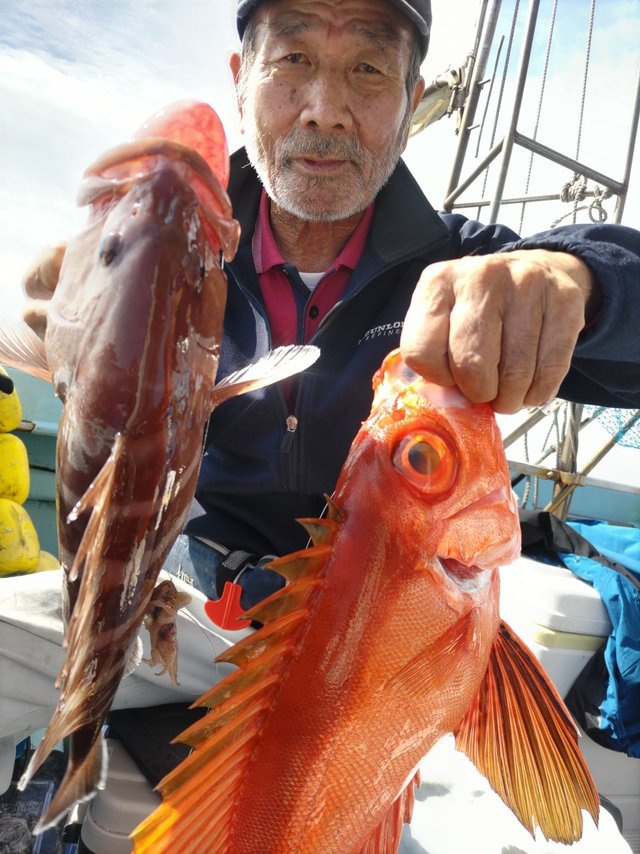チカメ(チカメキントキ)