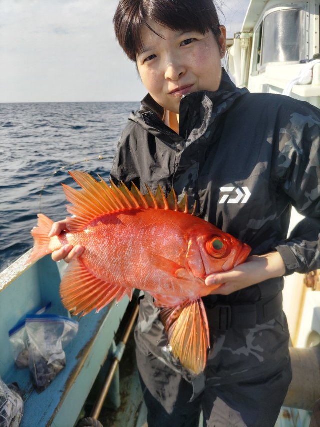 チカメ(チカメキントキ)