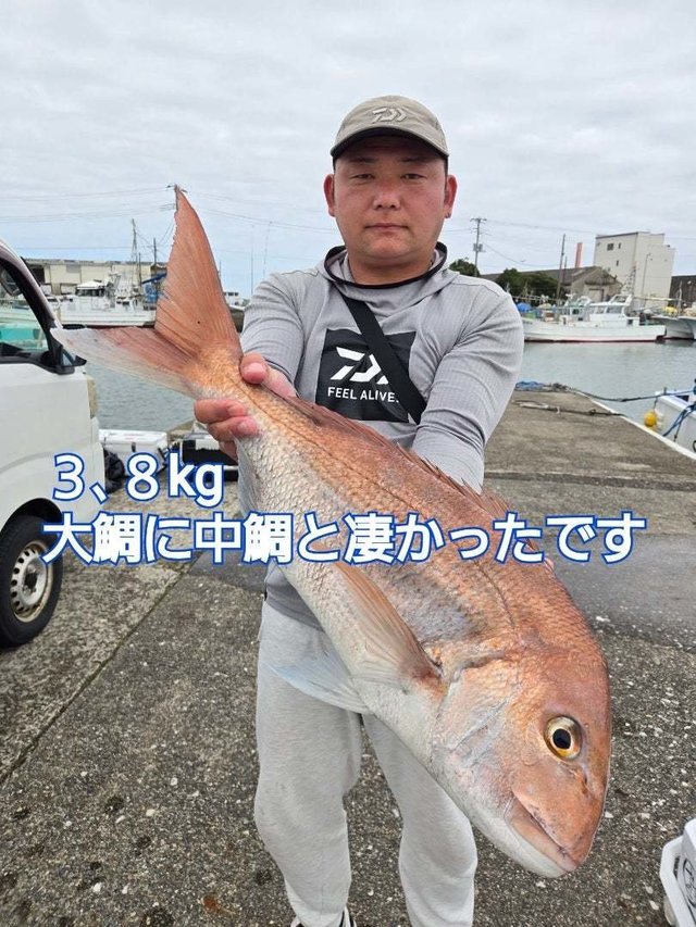マダイ