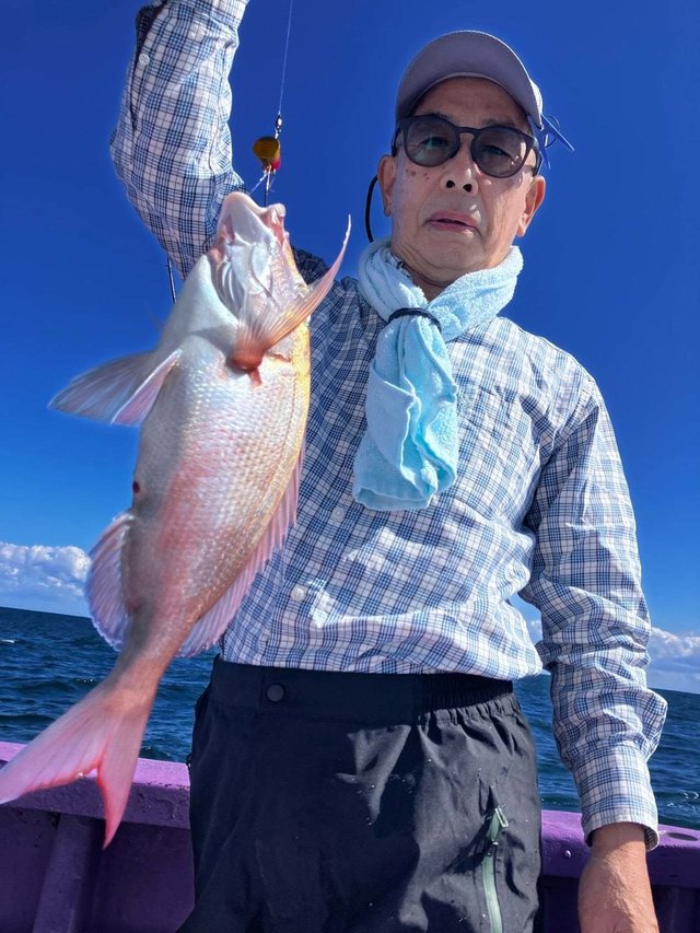 マダイ