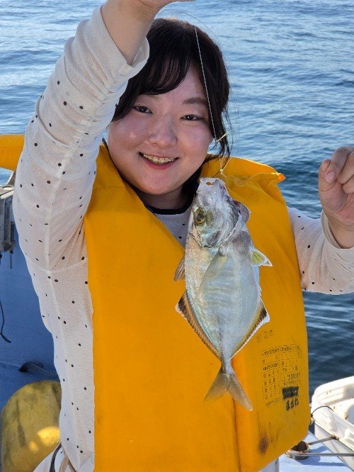 カイワリ
