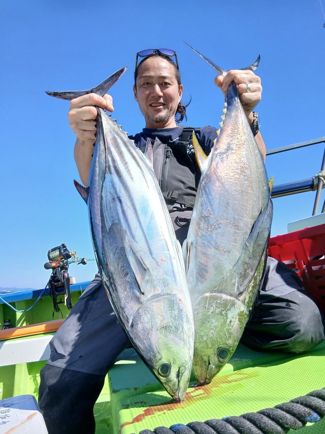 キメジ(キハダ)・カツオ