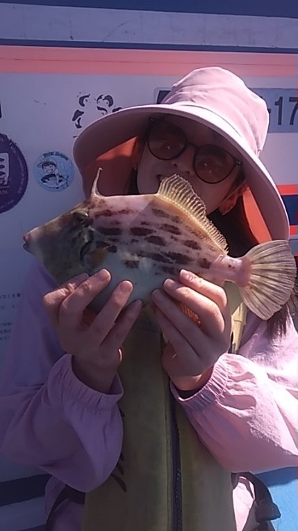 カワハギ