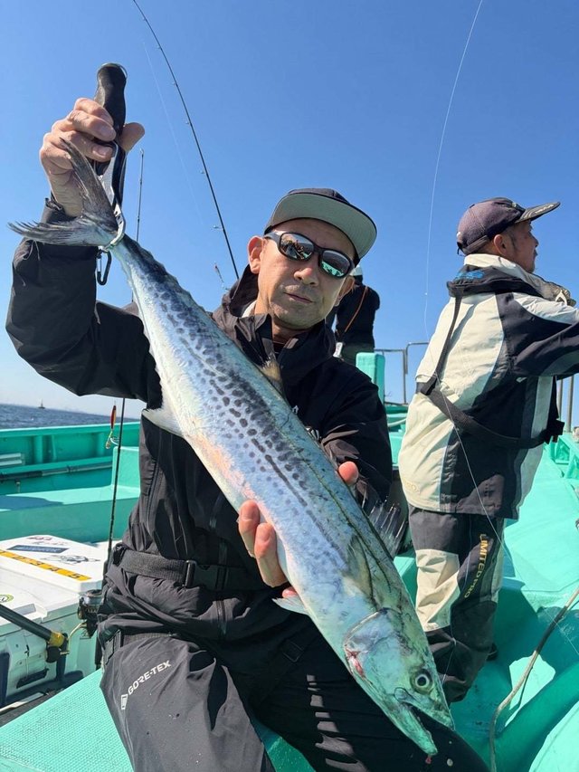 サワラ