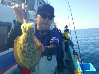 コウイカ