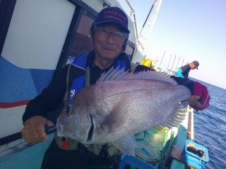 マダイ