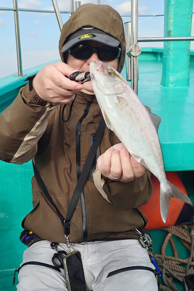 ショゴ(カンパチ)