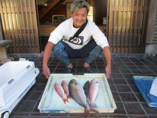 カンパチ・シロアマダイ・イトヨリ(イトヨリダイ)