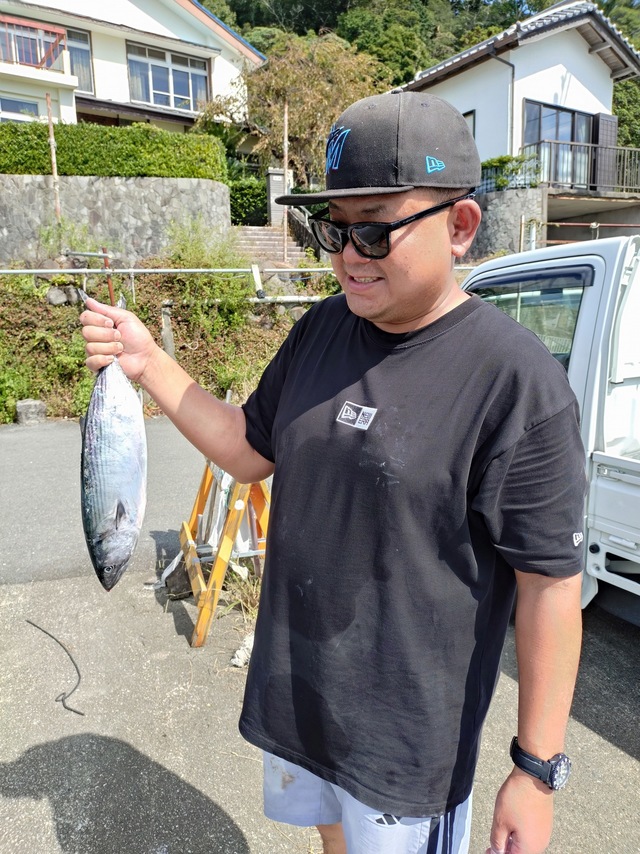 ホウサン(ハガツオ)
