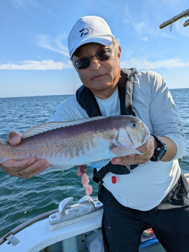 シロアマダイ