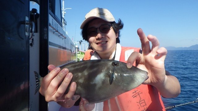 ウマヅラハギ