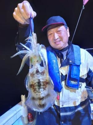 アオリイカ