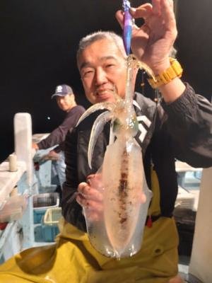 アオリイカ